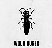 WoodBorer Control